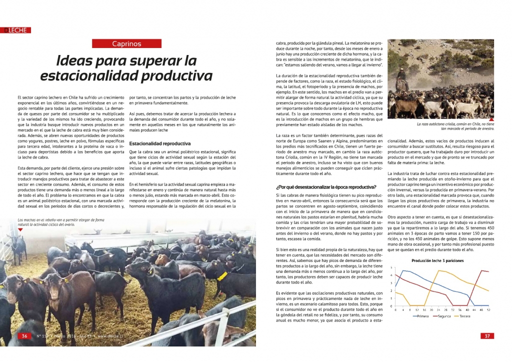 Quimialmel Chile desvela las herramientas para luchar contra la estacionalidad en el ganado caprino lechero
