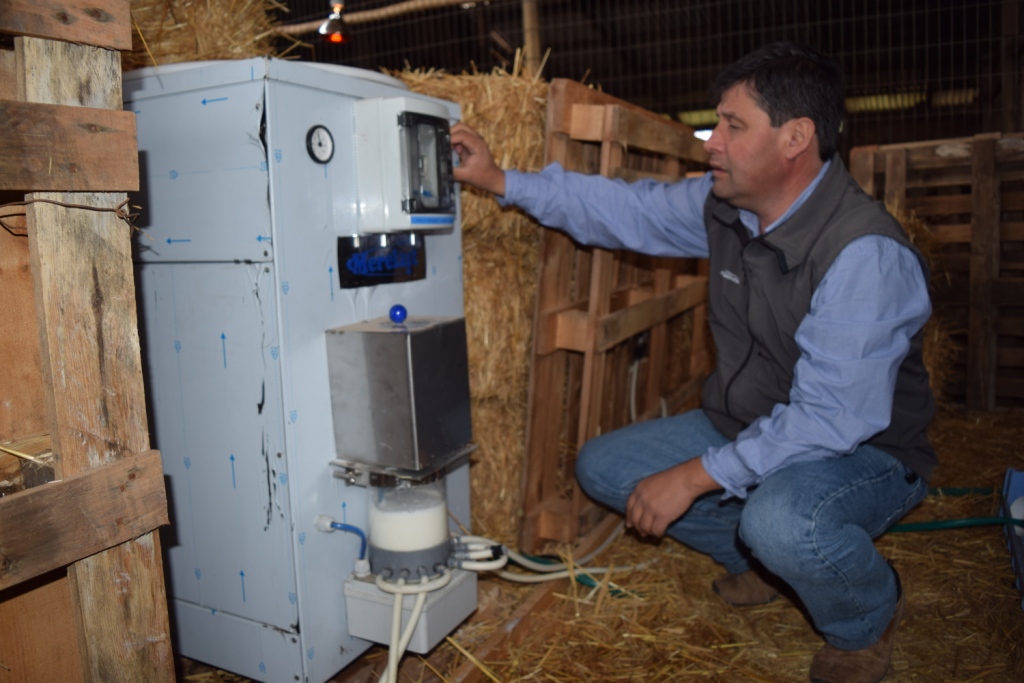 Lactancia artificial: Máquina nodriza implantada en explotación caprina en Chile