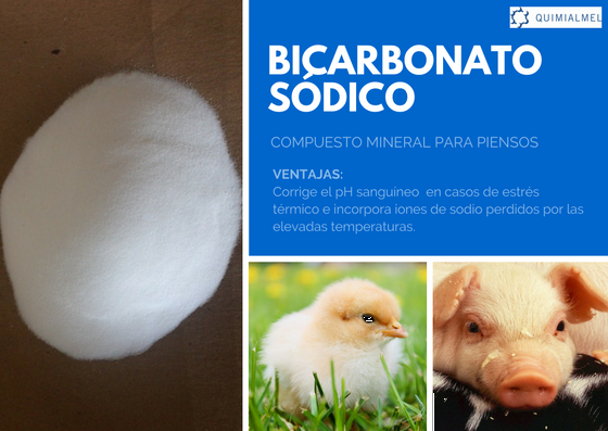 Bicarbonato sódico destinado a todas las especies animales